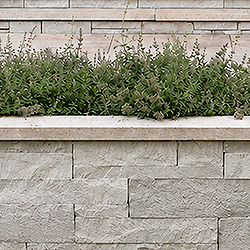 Alder™ Limestone      Split Face Wallstone
