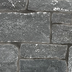 Friesian™ Limestone